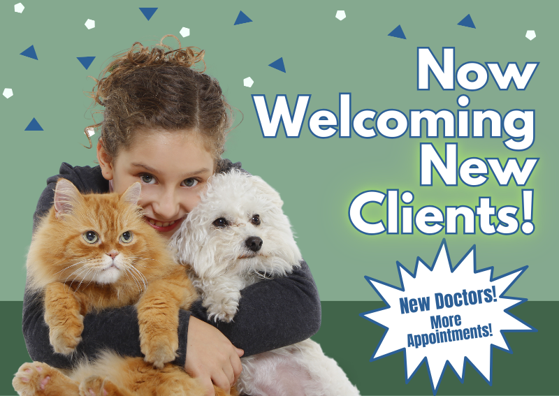 Carousel Slide 1: Welcoming New Clients!